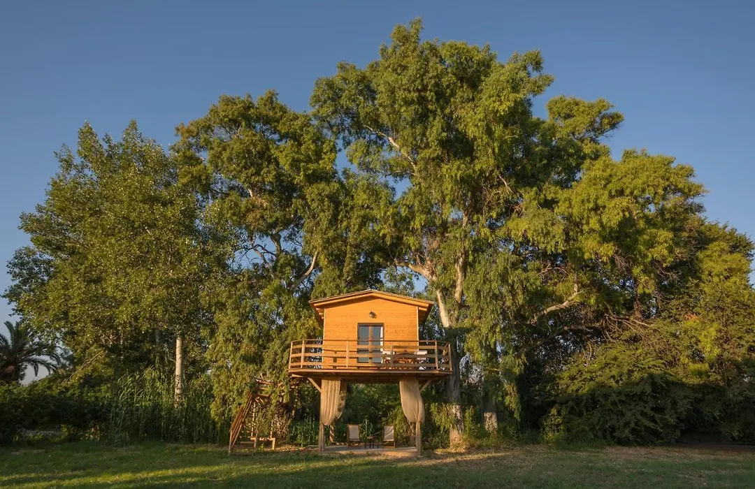 River Treehouse-1
