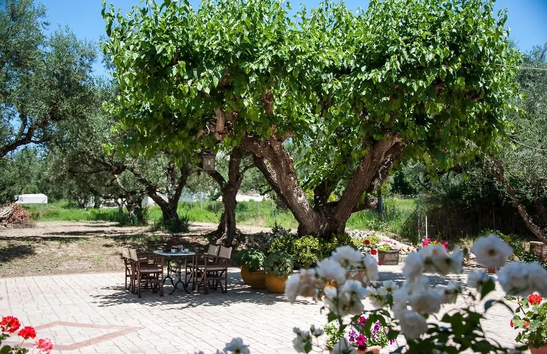Paradise Vezal-1