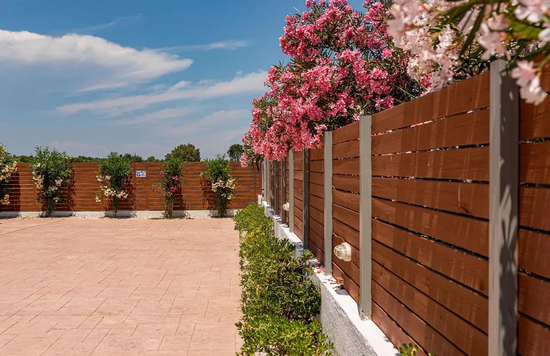 Blossom Villa-1
