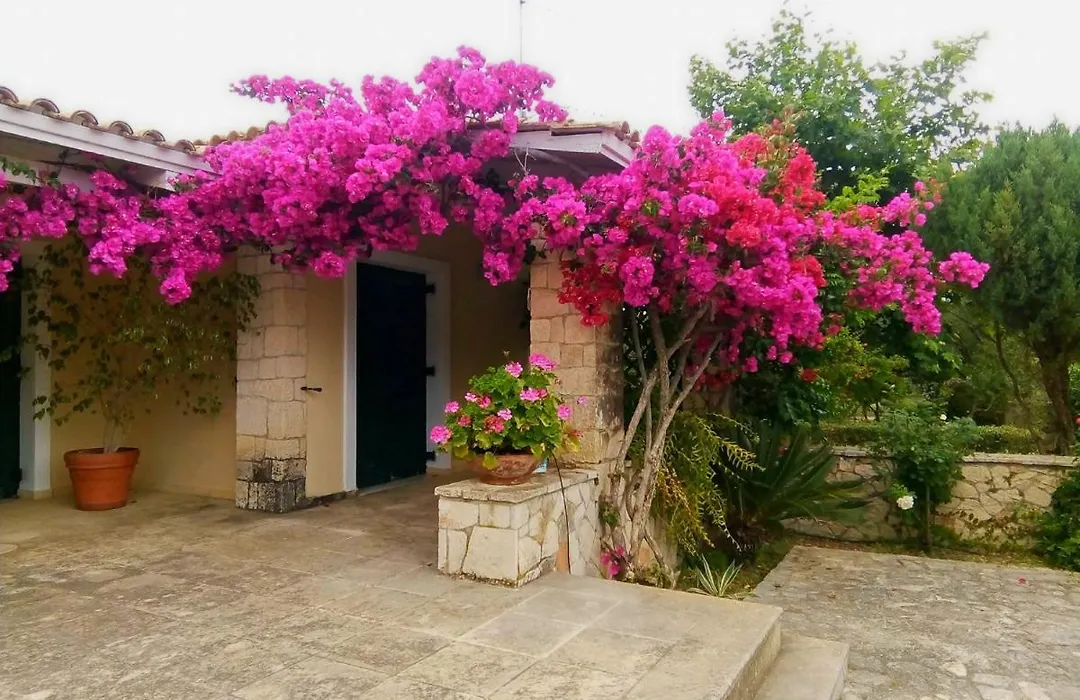 Casa Nostos-1