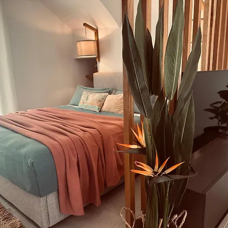 Tzane Luxury Suites - Luxury Suites In The City Center For Comfort & Privacy By Villa Mana Gers-2