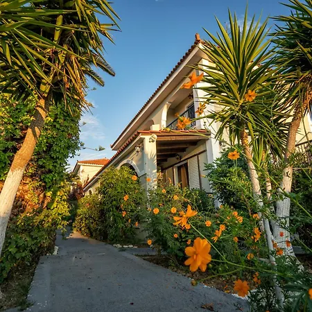 Tota Studios-2