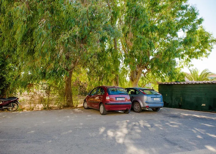 Pet friendly Sea Side Apartments & Studios-Renovated Tsilivi (Zakynthos)