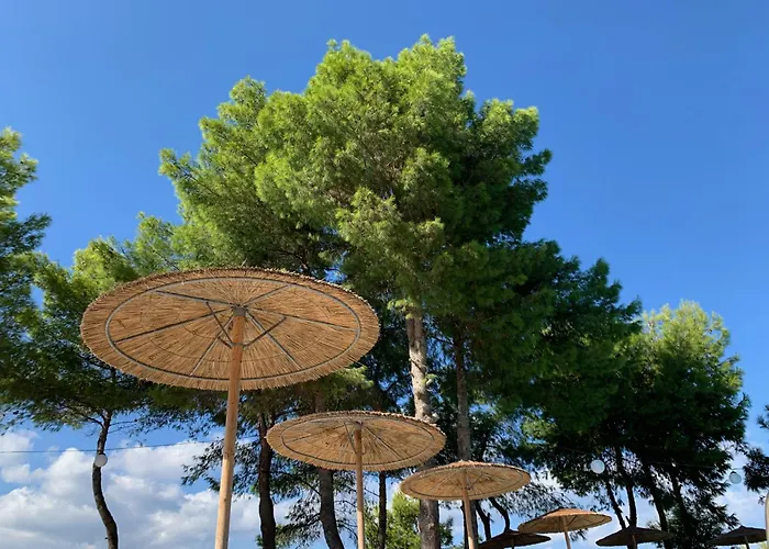 Celia Apartments Vasilikos 