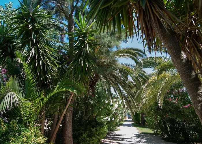 Hara Studios Laganas