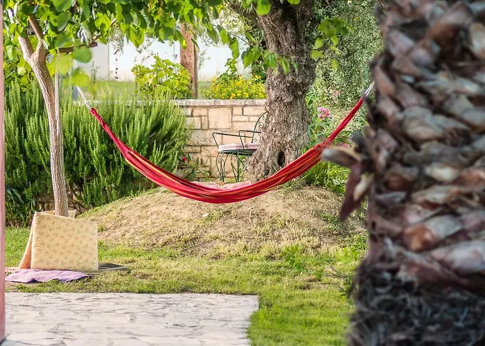 Locations de vacances à Zante